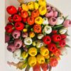 Tulipani in Silicone