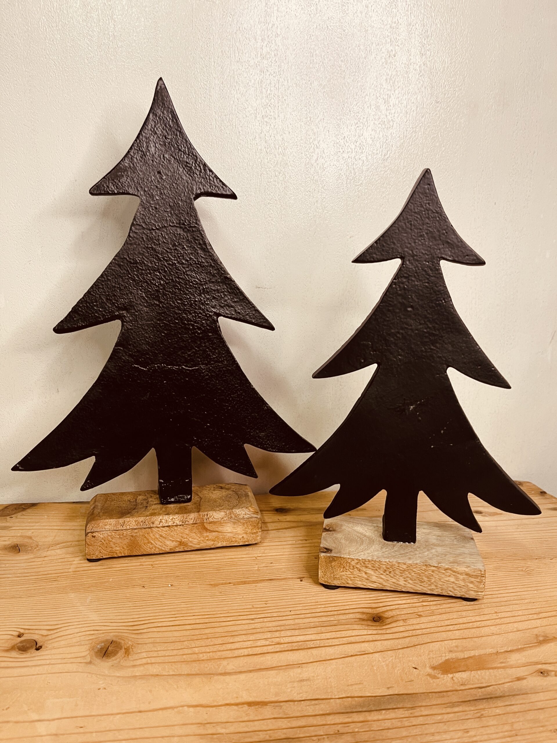 Albero Ferro Nero