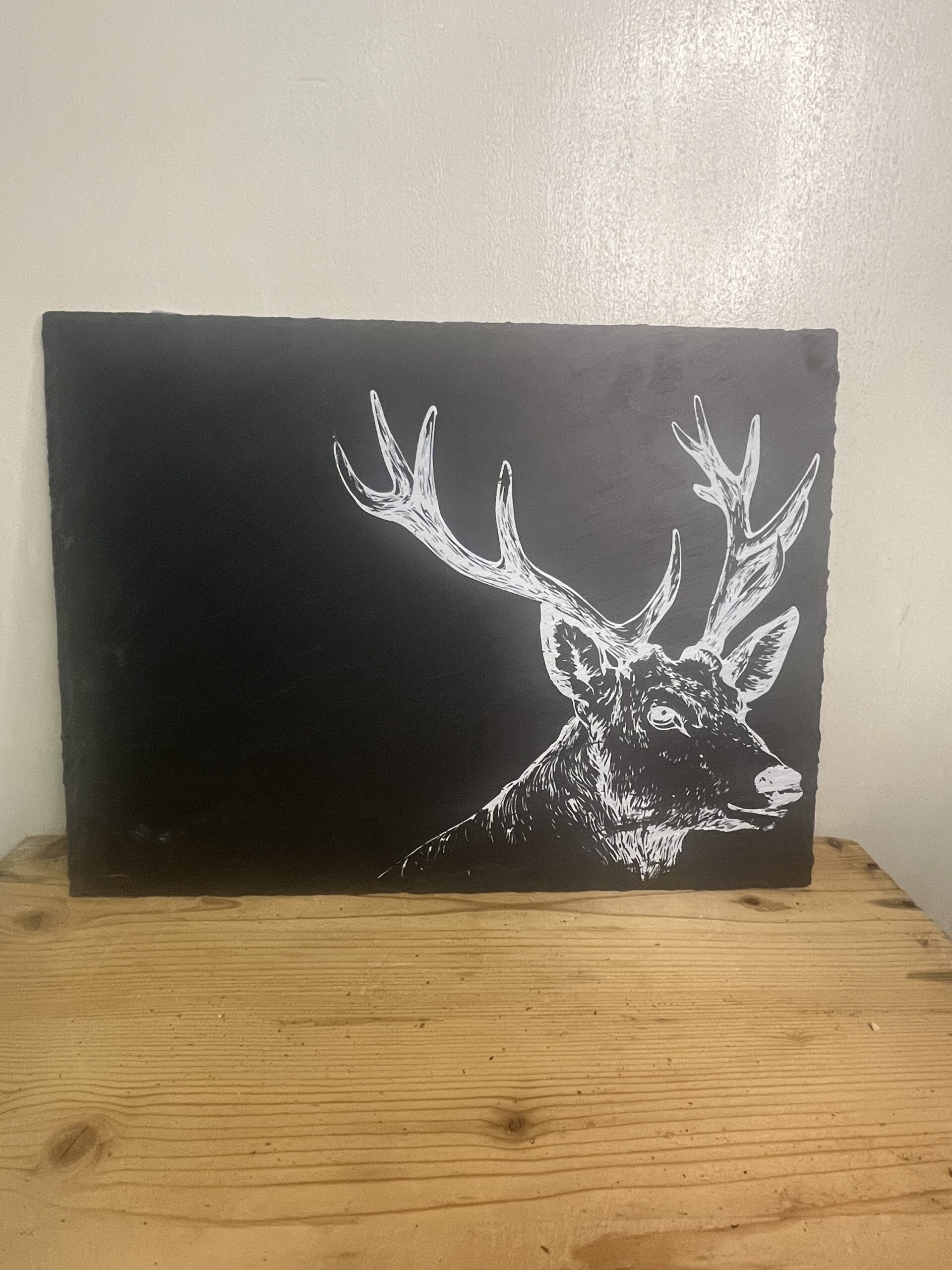 Piatto Ardesia Cervo